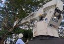 Corpoelec desmaleza 342 hectáreas en instalaciones eléctricas de Barinas