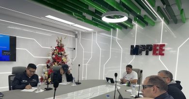 Mecanismos de planificación estratégica se debaten en Comité Técnico de este 13-D Mecanismos de planificación estratégica se debaten en Comité Técnico de este 13-D