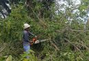 Más de 9 mil familias yaracuyanas favorecidas con labores de control de vegetación Más de 9 mil familias yaracuyanas favorecidas con labores de control de vegetación