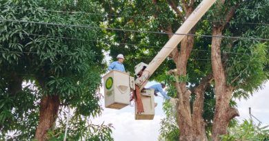 Plan de Control de Vegetación beneficia a más de 150 mil barineses Plan de Control de Vegetación beneficia a más de 150 mil barineses