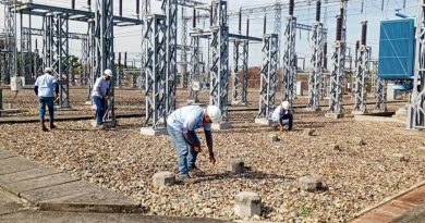 Labores de control de vegetación en instalaciones eléctricas favorece a apureños