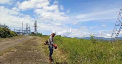 Más de 280 mil tachirenses beneficiados con control de vegetación en subestaciones