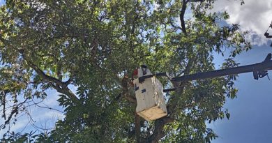 Más de 600 familias carabobeñas son favorecidas con mantenimiento en circuitos eléctricos Más de 600 familias carabobeñas son favorecidas con mantenimiento en circuitos eléctricos