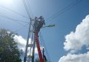 CORPOELEC fortalece red de distribución en el sector cojedeño Las Margaritas 