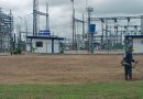 Control de vegetación en instalaciones eléctricas beneficia a más de 185 mil apureños