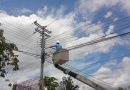 CORPOELEC optimiza sistema de alumbrado público en Valles del Tuy