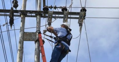 Efectúan mantenimiento integral en la línea de transmisión Barrancas-Tucupita
