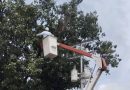Fortalecen servicio eléctrico a más de 15 mil familias carabobeñas